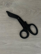 515700862_618231031292585_8787574329482590952_n