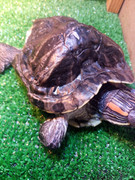 IMG_20250921_213330_767