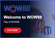 wow88-account-panel-375x258-1-png