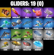 gliders-comp