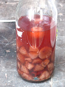 ADP sound system Lokorsko 2009 (105)