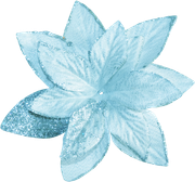 WINTER-LOVE-DBJ-ELEM-56