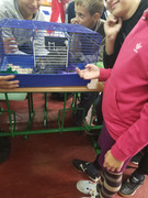 0-02-05-f338b530fc1e68aa2f6ddf675f68afeb1aceaeffb7aa9afb5fee88bebfb5518c_1a607e9b