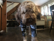 54B4A9B9-F6F8-4CAE-B8DC-53B0E2001EEE