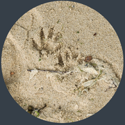 Photographed by: Twiglet June 11th 2023