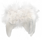 Winter-White-Elements-152