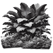 BW-element104