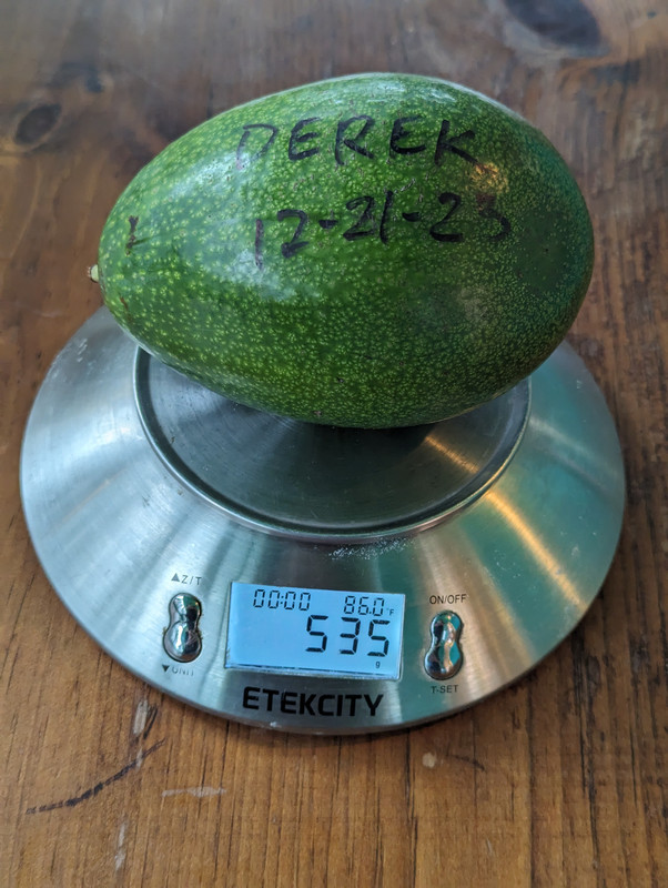 PXL_20231227_182140847