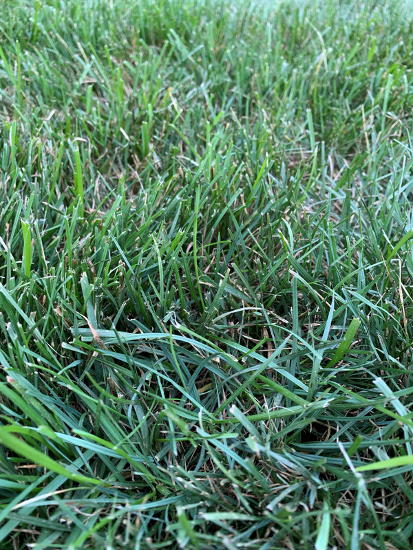 20200801_215717786_iOS (2)