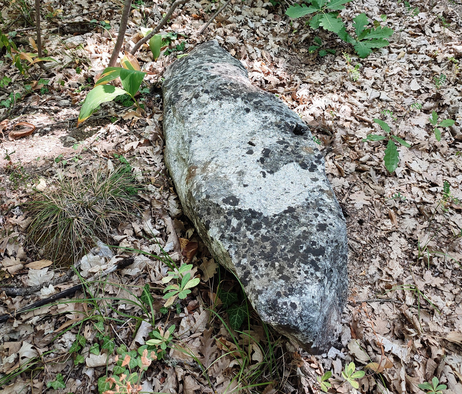 IMG_20250720_093916 кор 1