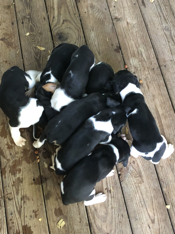 A91AE8B1-A711-46FA-A656-6CE8DE381F7F