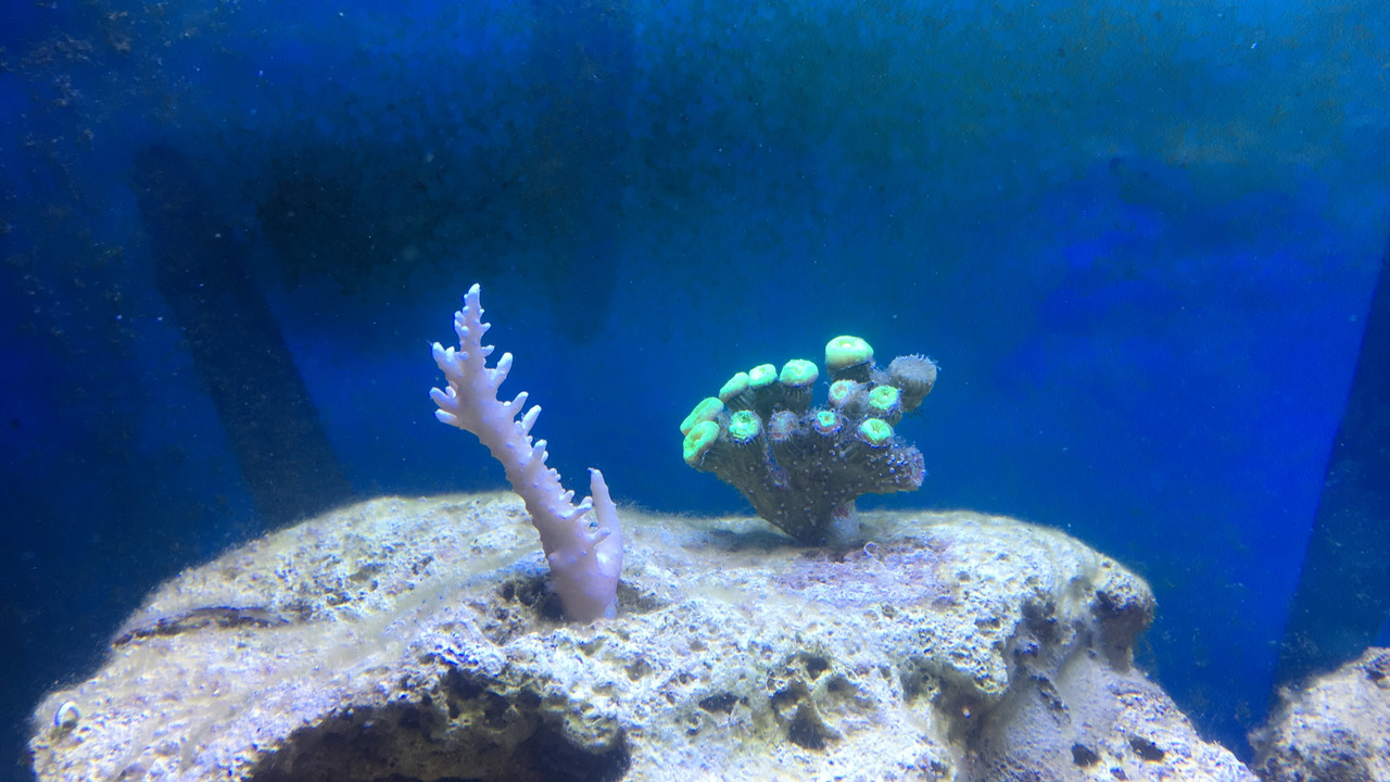 B78FDC3F-8D38-4B80-854E-8983CE19F5DF