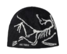 Arc'teryx Beanie