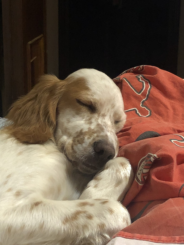 3D4E726F-2551-4CD4-AA70-DEDE0E2C74CC