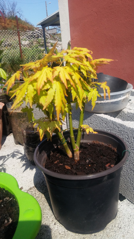 20190919-125528 (1)