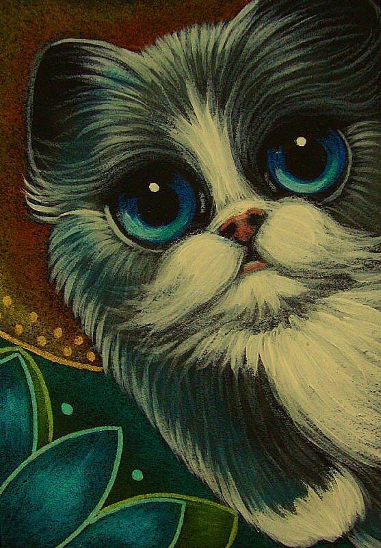 05-BICOLOR-PERSIAN-ANGEL-CAT-WITH-HALO-IN-MY-GARDENjpg