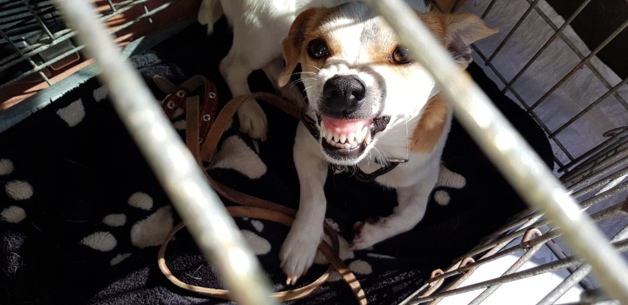 A15BDEBD-3205-4918-8521-CF6CB0A4A5D2