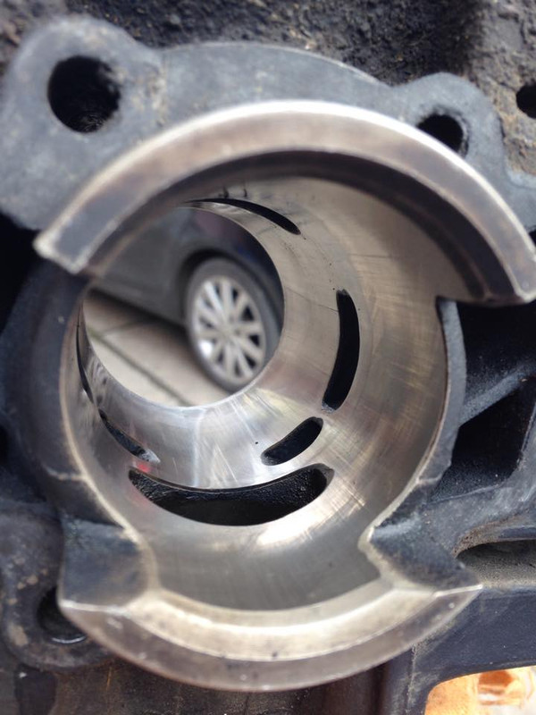 11050955_1028728370488204_1074530741_n