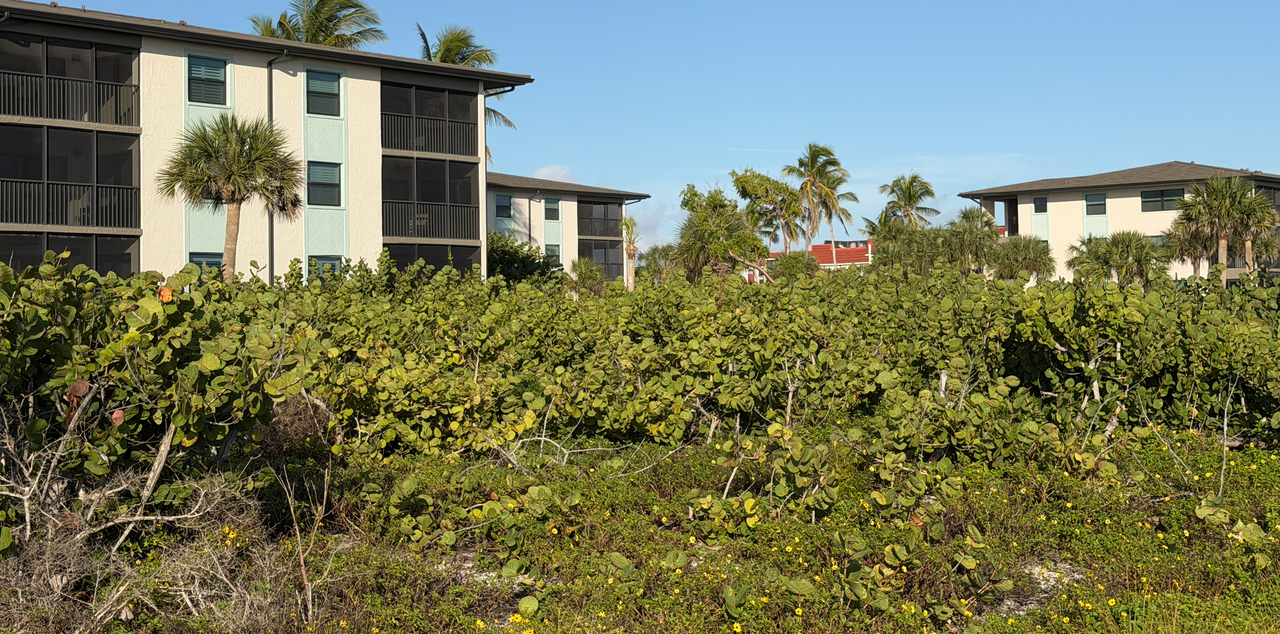 [Image: Sanibel-Island10.png]