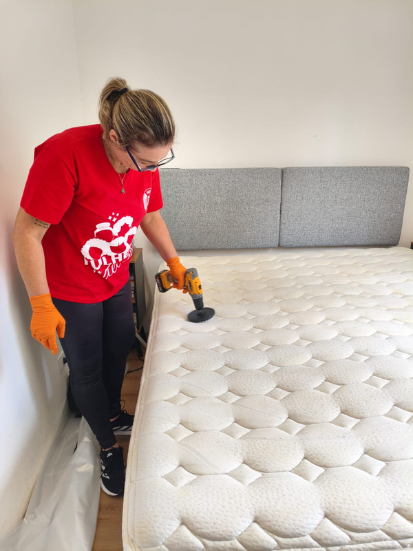 Higienização de colchão