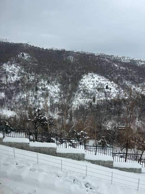 IMG-9842.jpg