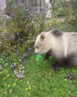 daily-gifdump-3408-18.gif