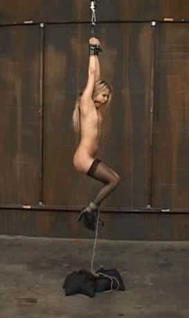 IMG-9461.gif