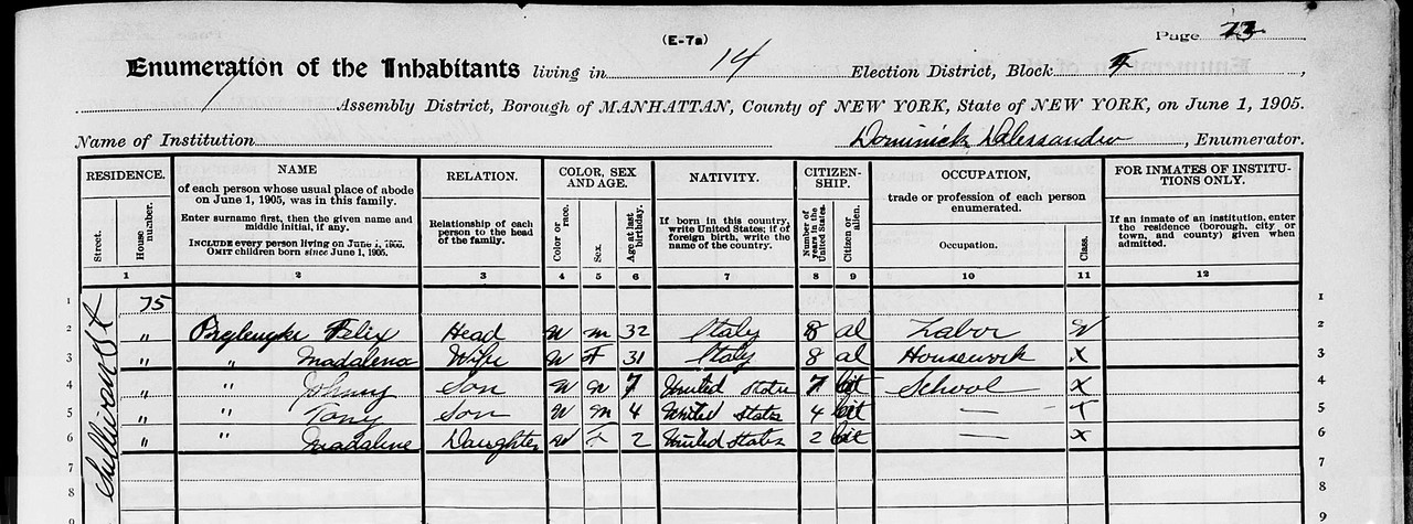 1905 Census