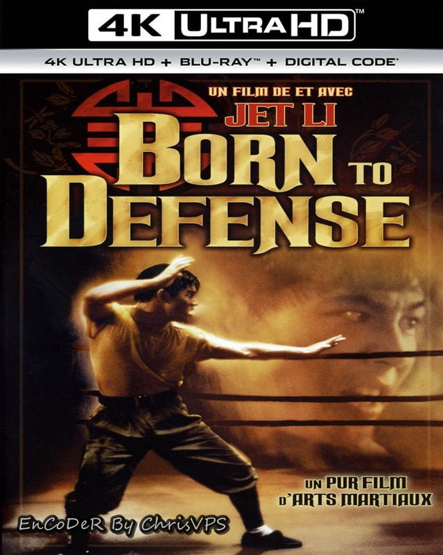 Krwawy ring / Born to Defense (1988) MULTI.HDR.2160p.WEB.DL.AC3-ChrisVPS / LEKTOR i NAPISY