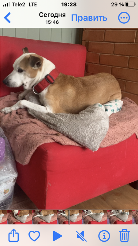 C2131210-A7A2-4B1B-B62E-32252CBE4CDF