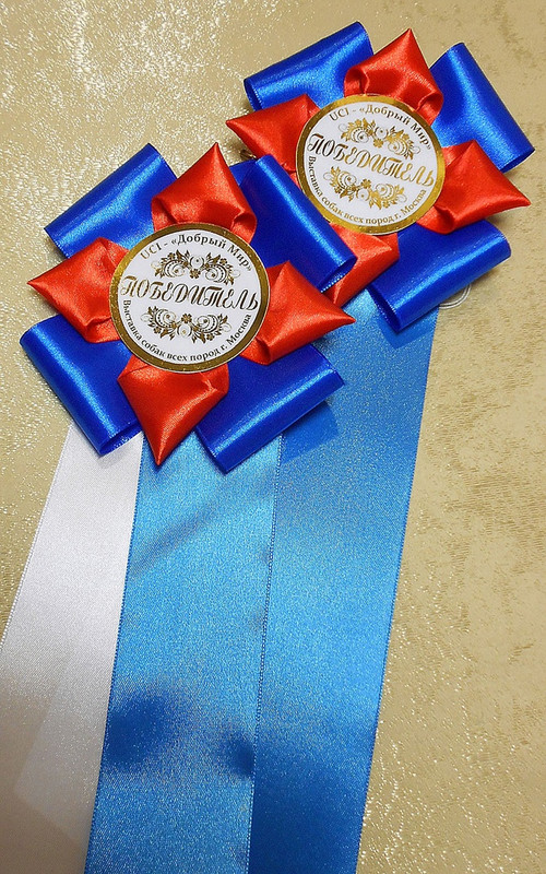 D0MhG0WvPnJOGI9lsCD6sKUVqFbYN8aGATp9AXEzHUeUYQ8nSt1VtX6ime_ZmP7manvElnBkONnIkrLxPrnE4jbU