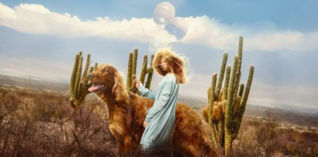 The Ultimate Guide to Hair in Adobe Photoshop