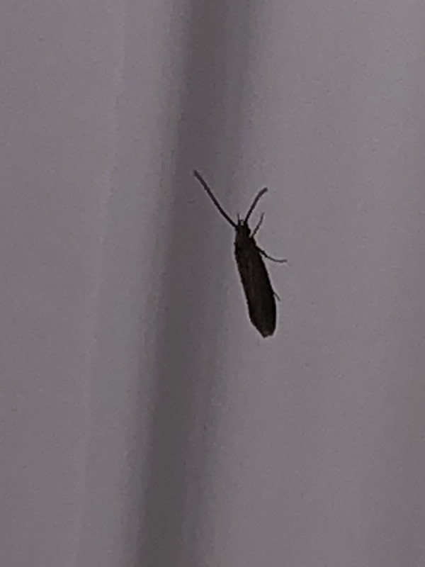 46661092-F5CF-4CF2-9CA6-E09AB363B0C7