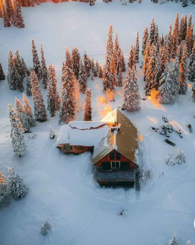 Screenshot_20230131_230353_Chrome