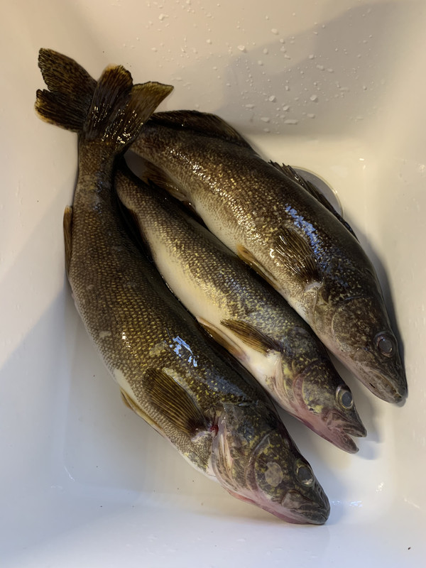 0CAA315B-8579-45B8-B694-1DDC6DA18264