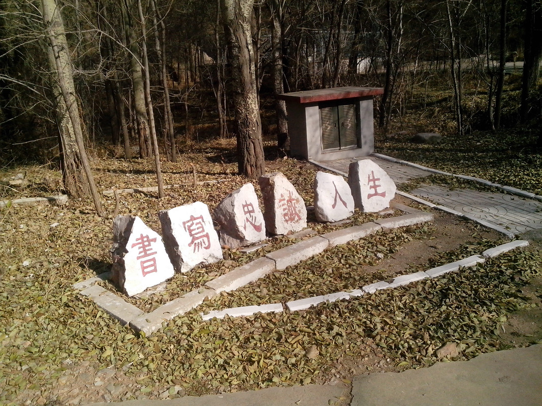 IMG_20131108_103648
