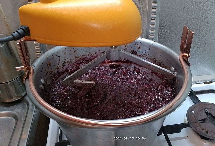 https://i.postimg.cc/D02q1My5/szilvalekvarfozes-20240913.jpg