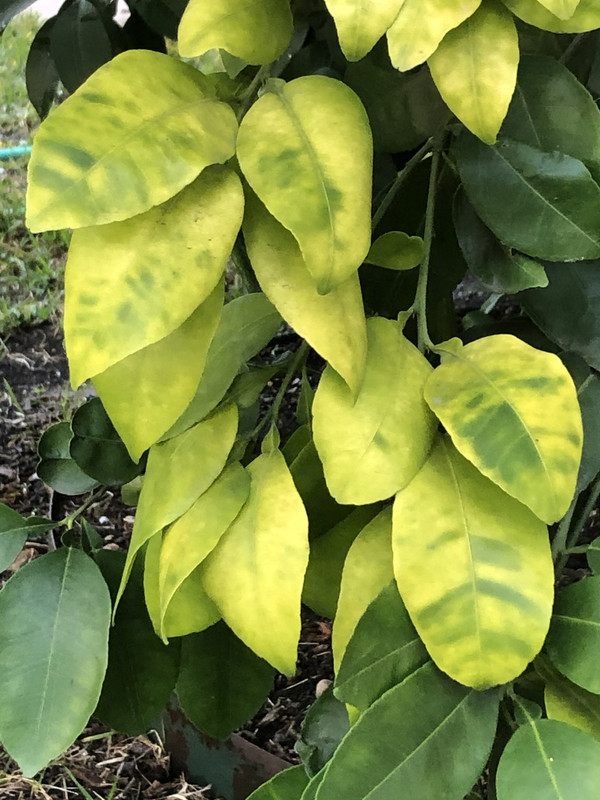 4C2B4A29-E579-4122-A8B7-B8516E000FCD