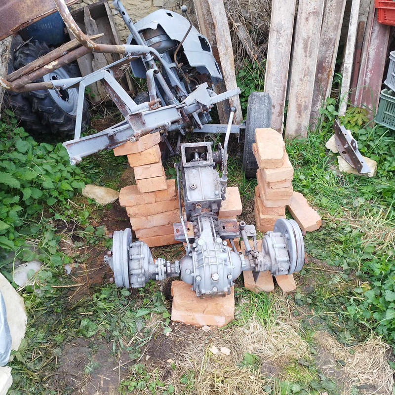 received_3811559599122522