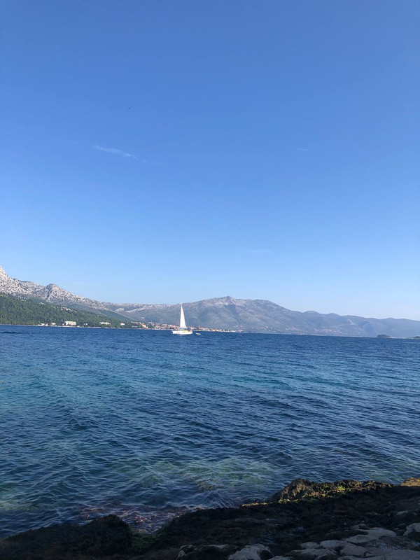 photo_2024-10-29_12-56-13