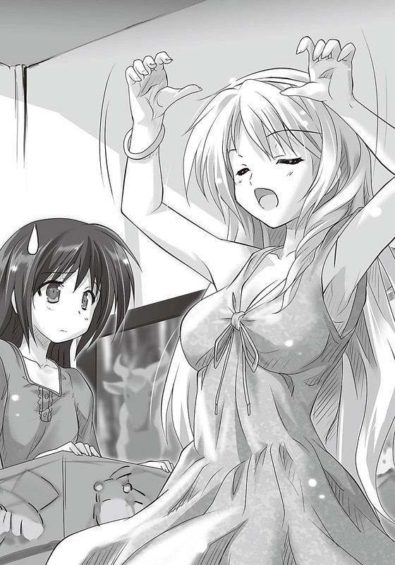 Illu08.jpg
