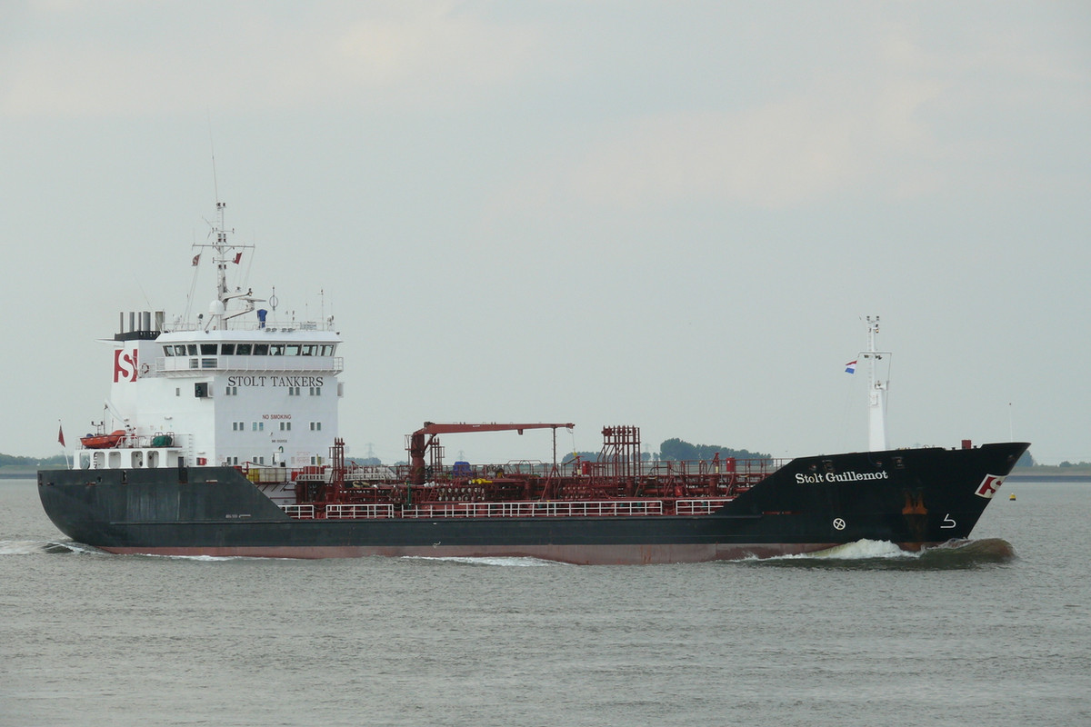 Stolt Guillemot@walsoorden06082010hp (1)