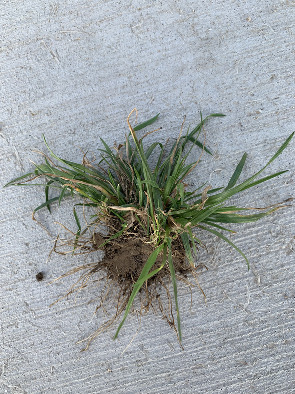 19880371-6A44-42FC-AC17-896252CCFB90