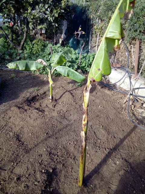 C1291E8D-B88C-4002-9D9F-600F9E1EE645