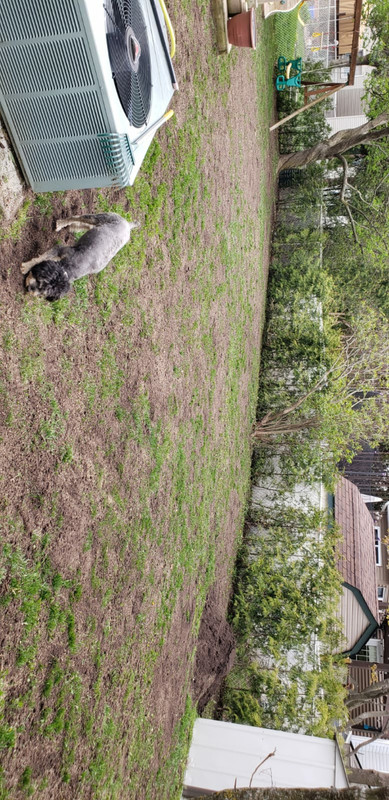 Screenshot_20200630-155847_WhatsApp