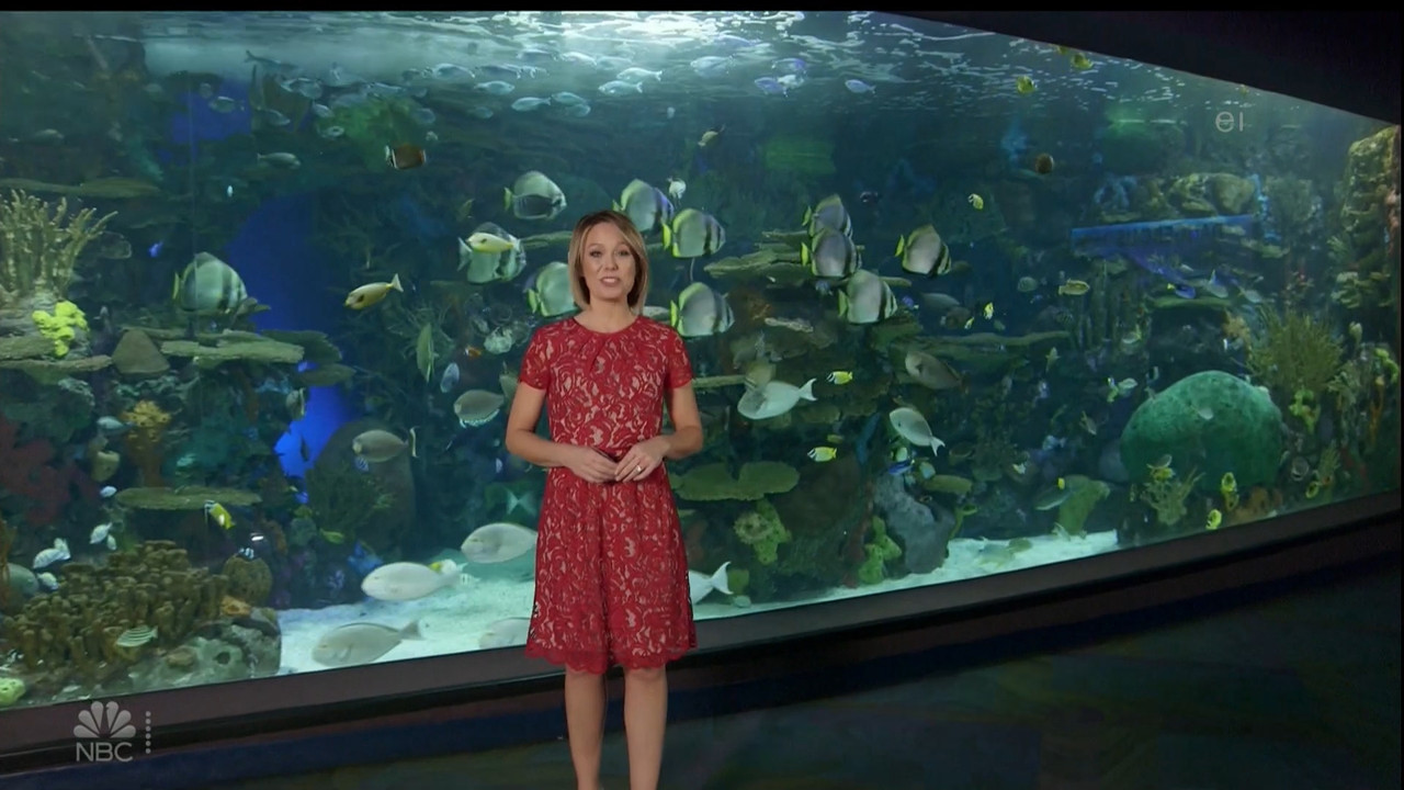 11.07 - 15.00.00 - Earth Odyssey With Dylan Dreyer. The world's smart....ts_snapshot_01.05.20.415