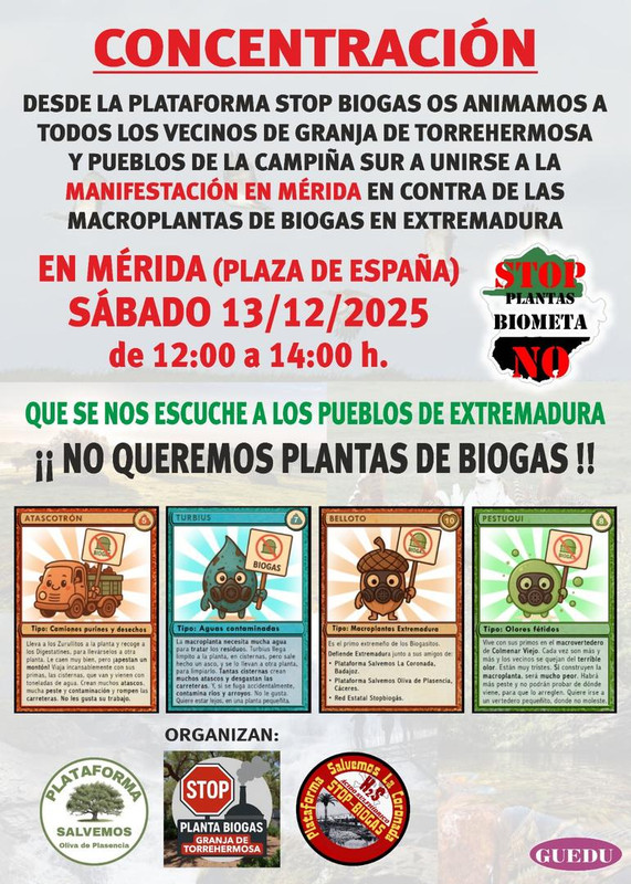 Whats App Image 2025 12 11 at 20 38 49