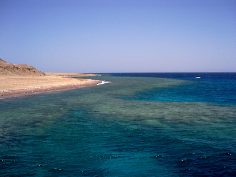 Ilustrasi pantai di Gabr el-Bint di Semenanjung Sinai, Mesir, tempat seorang wanita 39 tahun menemukan makhluk aneh.