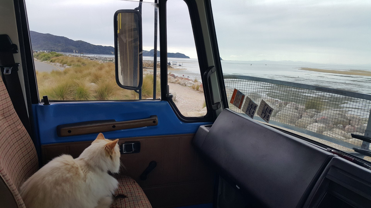 20201014_115424 (Large)