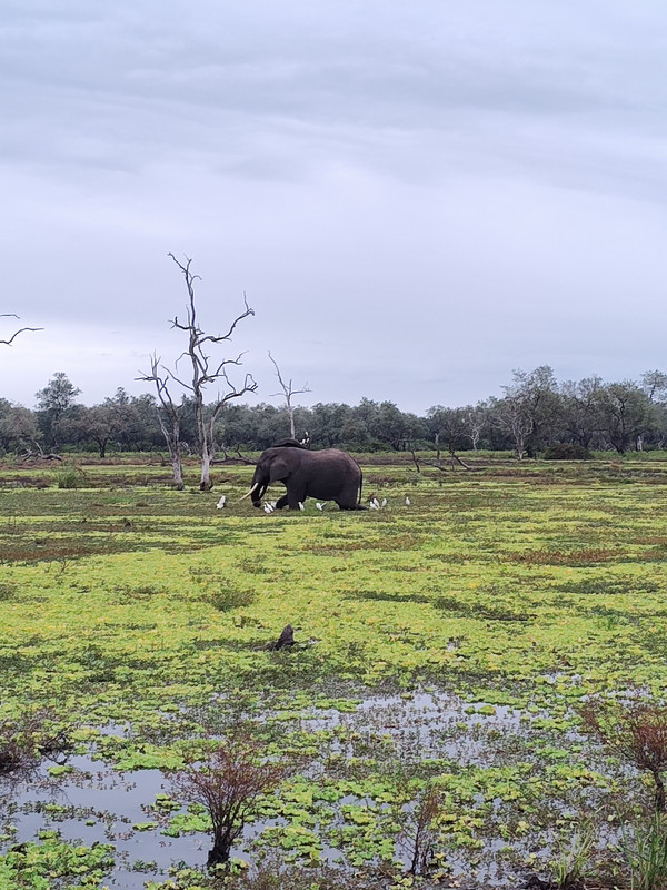 IMG_20250616_092846916